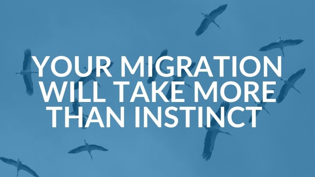 Cloud Migration Strategy in 10 Steps