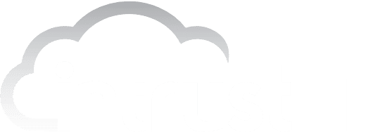 Intrust IT Logo